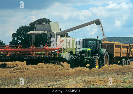 Le SHROPSHIRE UK Moissonneuse-batteuse, grains d'orge se vide dans un tracteur semi-remorque pour le transport de la ferme Banque D'Images