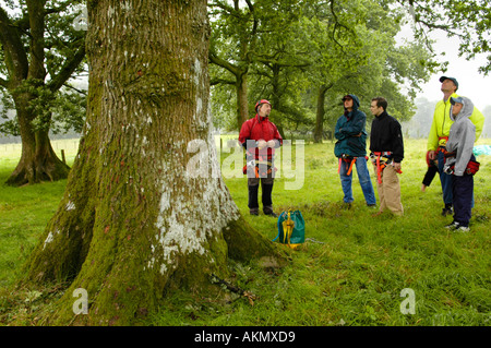 Montrer aux élèves comment l'instructeur grimper à un arbre sur un parcours à Carmarthenshire Brechfa Wales UK Banque D'Images