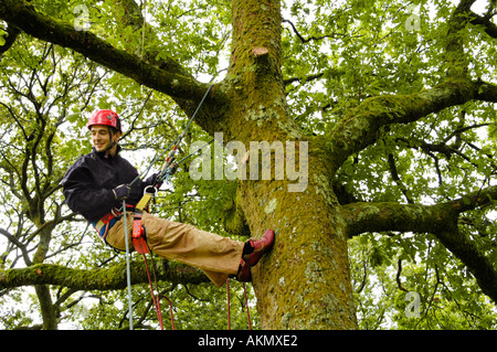 Jeune homme sur parcours sur corde en toute sécurité à Carmarthenshire Brechfa Wales UK Banque D'Images