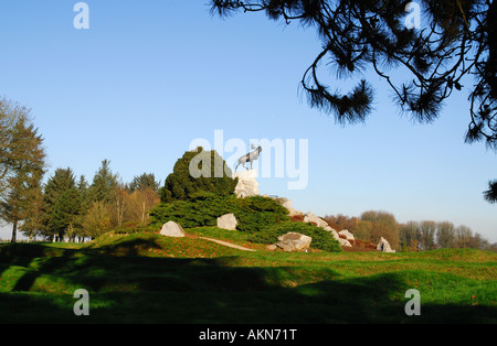 Terre-neuve à Beaumont-hamel Memorial, Somme, France Banque D'Images