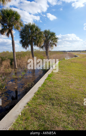 William Bartram Piste à Paynes Prairie au sud de Gainesville, Floride USA Banque D'Images