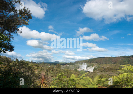 Vue vers le bas du Prince de Galles, geyser, Whakarewarewa Rotorua, île du Nord, Nouvelle-Zélande Banque D'Images