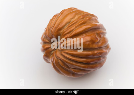 Une macrophotographie d'un écrou poli de noyer noir. Macrophotographie d'une noix de noyer noir (Juglans nigra) polie. La France. Banque D'Images