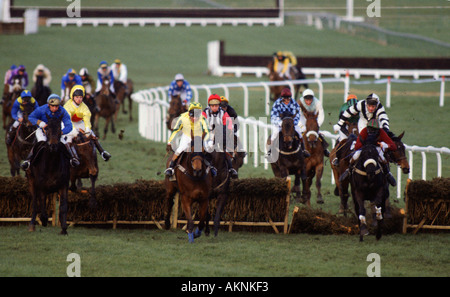 Hunt Festival des courses de chevaux de courses à Cheltenham, Angleterre, Royaume-Uni Banque D'Images