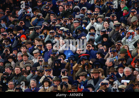 Racegoers watch racing Courses à Cheltenham, Gloucestershire Royaume Uni Banque D'Images