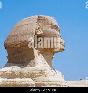 Grand Sphinx Head Banque D'Images