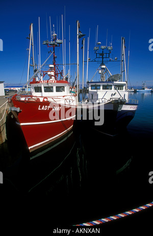 Des bateaux de pêche à quai à Shippagan, Nouveau-Brunswick Province Canada Amérique du Nord Banque D'Images