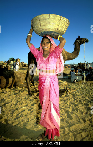 Une femme du Rajasthan la collecte à la bouse de chameau chameau de Pushkar fair Banque D'Images