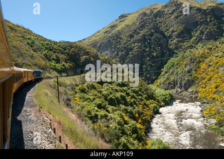 Avis de la sur le Taieri Gorge Railway de Dunedin, Otago, île du Sud, Nouvelle-Zélande Banque D'Images