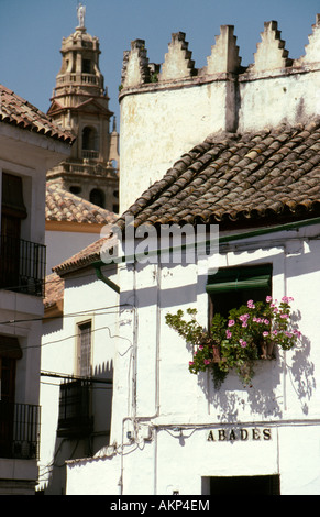 Une petite rue dans le quartier juif du vieux quartier juif de Cordoue, dans le sud de l'Espagne Banque D'Images