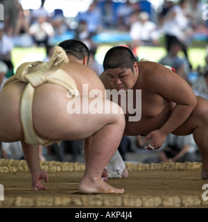 L'ensemble de l'université tournoi de sumo japonais towada city wrestling lutteurs lutte la lutte contre la concurrence à l'extérieur de sport amateur Banque D'Images