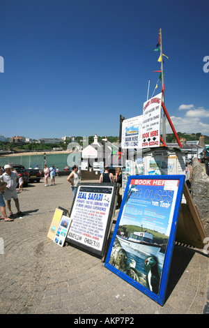 Les petites entreprises locales tentent d'attirer des touristes de passage en bateau sur le port de Tenby, Pembrokeshire West Wales UK Banque D'Images