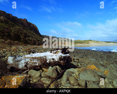 Le Parc National Narawntapu Tasmanie Banque D'Images