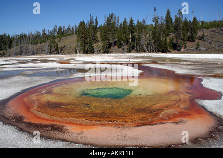 Piscine chromatique, Upper Geyser Basin près de Old Faithful, Yellowstone National Park Banque D'Images