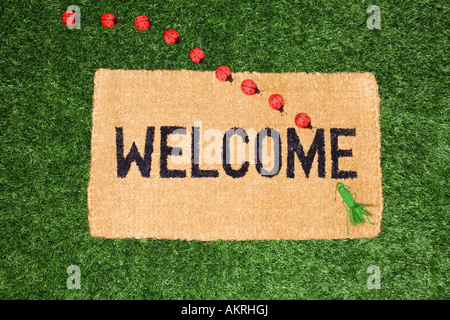 Toy coccinelles et cricket sur un tapis d'accueil Banque D'Images