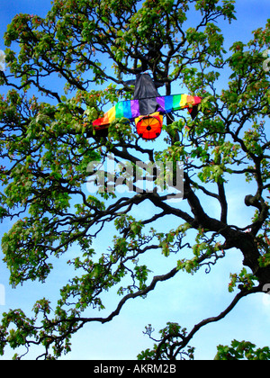Multi colored kite coincé dans l'arbre Banque D'Images