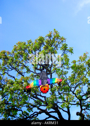 Multi colored kite coincé dans l'arbre Banque D'Images