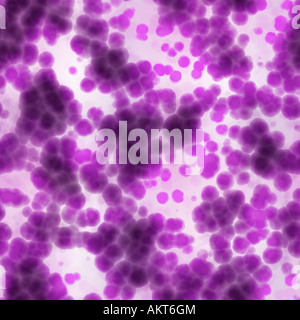 Grand Fond d'une image de cellules violet sur blanc Banque D'Images
