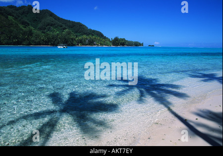 La France, la Polynésie française, archipel de la société, îles du Vent, Moorea, vue sur le motu Fareone de Moorea Banque D'Images