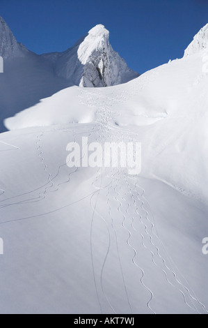 Les pistes de ski sur le mont Jervois haut au-dessus de Franz Josef Glacier Côte ouest de l'île du Sud Nouvelle-zélande aerial Banque D'Images