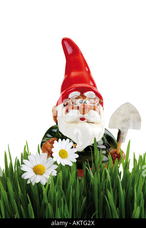 Garden gnome avec chat, herbe en premier plan Banque D'Images