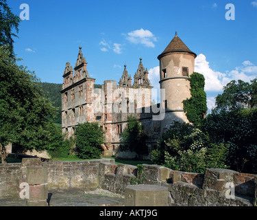 Klosterruine, Abtei Hirsau, Benediktinerkloster, Calw, Nagoldtal, Schwarzwald, Baden-Württemberg Banque D'Images