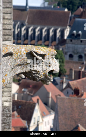 Chartres France, aérien, gros plan, extérieur « cathédrale notre-Dame » vue d'ensemble du centre-ville depuis le sommet de la cathédrale Gargoyle détail architectural Banque D'Images