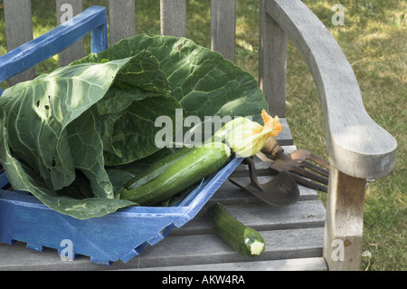 Jardin rustique trug sur chaise avec courgettes et chou et outils de jardin Banque D'Images