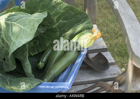 Jardin rustique trug sur chaise avec courgettes et chou et outils de jardin Banque D'Images