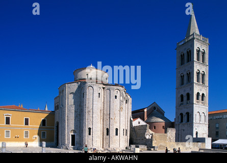 L'église St Donat et Cathédrale de St Anastasia Vieille Ville Zadar Dalmatie Croatie Banque D'Images