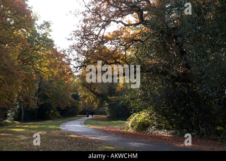 Vues d'automne de Southampton Common Banque D'Images