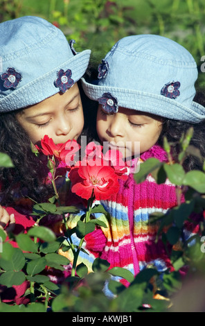 Deux sœurs jumelles qui sent les fleurs rouges Banque D'Images