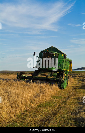 moissonneuse-batteuse dh RÉCOLTE moissonneuse-batteuse John Deere coupe Royaume-Uni Machines de champs d'orge Orkney Banque D'Images