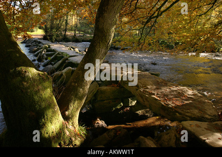 L'ancien pont de pierre étapes Tarr , Somerset , Exmoor UK Banque D'Images