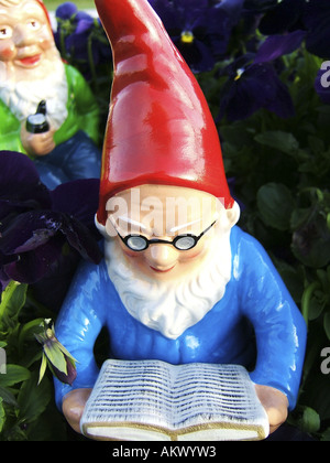 Jardin de lecture gnome dans un jardin Banque D'Images