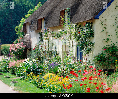 Go DUNSTER SOMERSET Banque D'Images