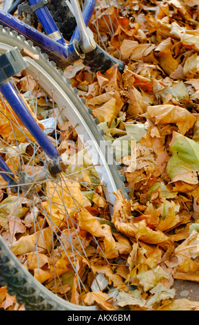 D'une roue de vélo profondément dans les feuilles d'automne. Photo par Jim Holden. Banque D'Images