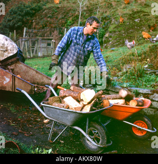 Un homme le déchargement du bois de chauffage d'un tracteur dans une brouette dans son jardin pour son chauffage cuisinière Aga, Carmarthenshire, Pays de Galles, Royaume-Uni Banque D'Images