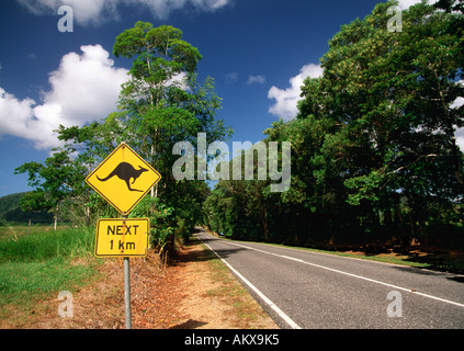 L'autoroute australienne typique avec kangaroo crossing warning sign, Queensland, Australie Banque D'Images