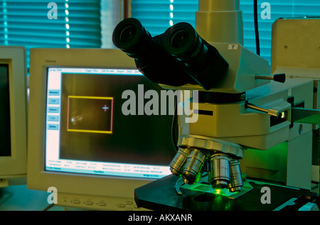 Analyse d'une expérience scientifique avec un microscope à fluorescence dans le laboratoire Banque D'Images