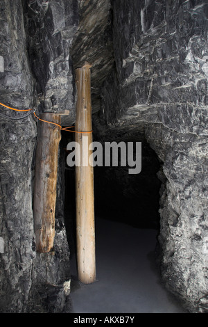 Gorges du glacier, Grindelwald, Oberland Bernois, highlands, canton de Berne, Suisse Banque D'Images