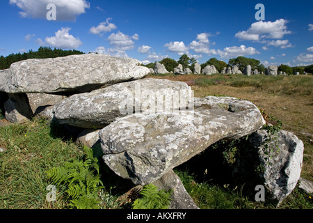 Dolmen de Kermario tombeau préhistorique près de pierres ou des mégalithes Carnac France Banque D'Images