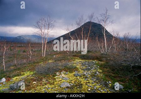 Montagnes Khibiny sont situés en Russie dans la région de Mourmansk. Péninsule de Kola, Russie Banque D'Images