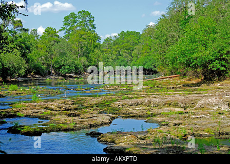 Parc d'état de Big Shoals Floride rapids l'eau bas rochers rochers exposés Banque D'Images