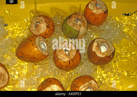 Îles tropicales tropiques les coquilles de noix de coco rhum Banque D'Images