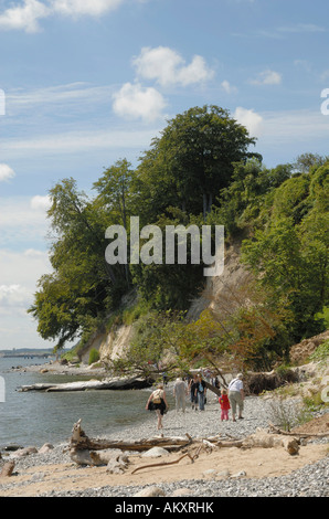 Falaises de craie de Rügen, parc national de Jasmund, Rugia, Mecklembourg-Poméranie-Occidentale, Allemagne Banque D'Images