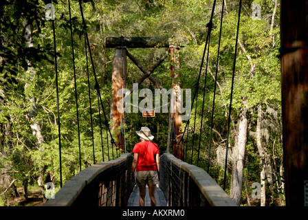 Sentier de la Floride, parc d'État O'leno sentier de randonnée Suspension Bridge Banque D'Images