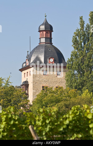 Château Vollrads, Rheingau (district Rhin), Hesse, Allemagne Banque D'Images