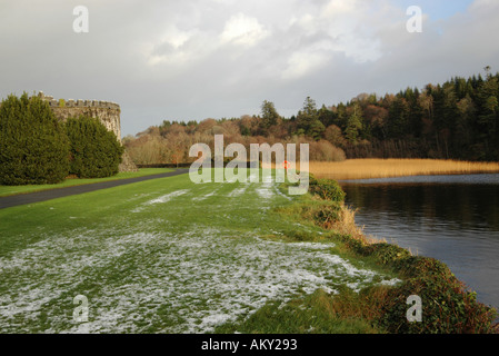 Un aperçu de l'Ashford Castle Co Mayo avec l'herbe et de roseaux d'orange sur le bord de Lough Corrib Banque D'Images