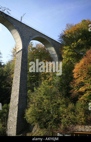 Viaduc Ferroviaire près de Luetisburg dans couleurs d'automne, Saint-Gall, Suisse Banque D'Images